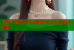 半糖次元黄进不去原因解析及快速解决指南