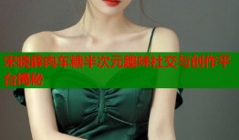 宋晓薛肉车糖半次元趣味社交与创作平台揭秘