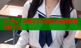 ovcfcy_1半糖次元打造高效智能数据分析平台