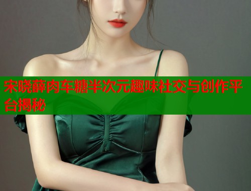 宋晓薛肉车糖半次元趣味社交与创作平台揭秘