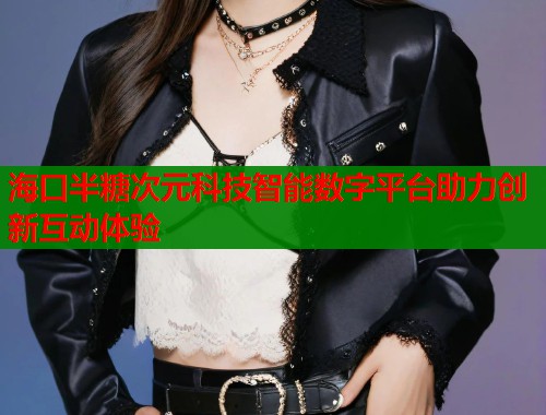 海口半糖次元科技智能数字平台助力创新互动体验